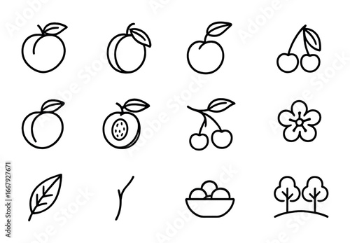 Stone Fruits Icon Set. Outline icon set of stone fruits: peach, plum, apricot, cherry, nectarine, half peach,