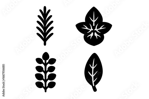 Herb icon set glyphs. Aromatic culinary herbs and spices symbols. Rosemary, basil, thyme, oregano. Fresh seasoning for cooking. Natural organic plant leaves vector pictograms.