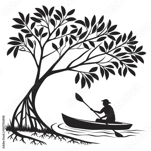 Person kayaking in mangroves silhouette