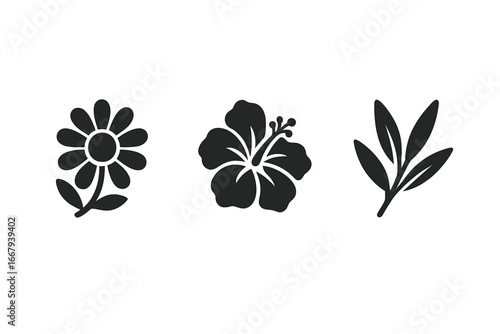 Traditional Herbal Tea Icons Set with Chamomile Flower, Hibiscus Bloom, Rooibos Leaf, Solid Filled Vector Illustrations of Natural Medicinal Teas and Botanical Leaves
