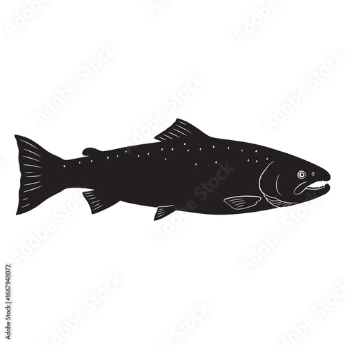 black and white silhouette vector of salmon with white background