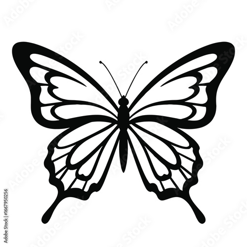 Elegant black and white butterfly illustration isolated on white background.