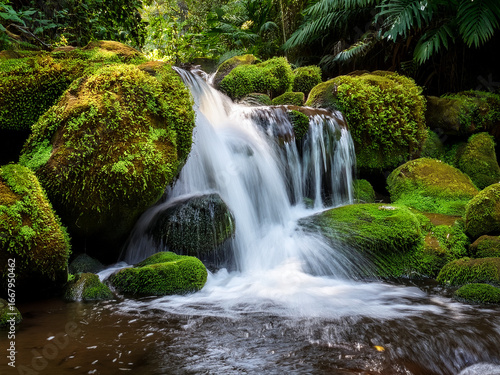 Educational image encouraging protection of natural habitats
Waterfall scene promoting emotional connection to the natural world
