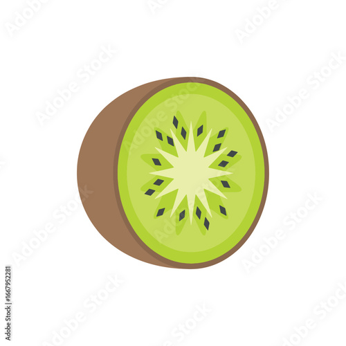 Half of fresh kiwi fruit isolated on white background.  Vector illustration. 