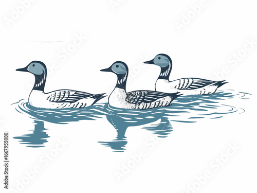 ducks swimming on water