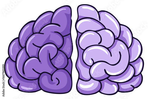 Stylized human brain illustration with two distinct purple hemispheres