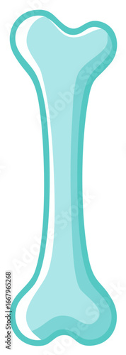 Single Long Bone Illustration for Anatomy, Halloween Decor, and Animal Digs