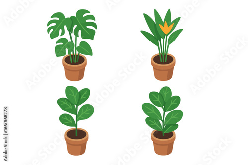 Indoor plant icon set. Isometric houseplant vector collection. Potted tropical plants monstera deliciosa, bird of paradise, fiddle leaf fig. Botanical flat design illustration.