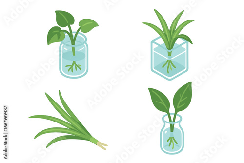 Isometric Flat Vector Icons of Houseplant Propagation Cuttings – Pothos, Spider Plant, Peace Lily, Root Growth, Water Propagation, Indoor Gardening Elements