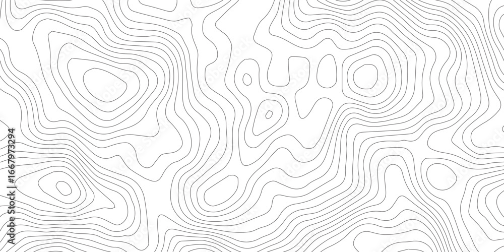 Fototapeta premium Topography background. Vector banner. Topography map background. Vector geographic contour map. Background of the topographic map. Topographic map lines, contour background.