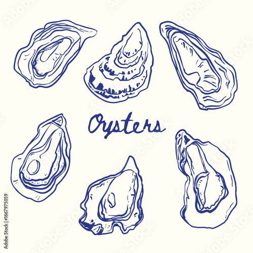 Minimalist hand drawn oyster illustration. Vector of oysters in doodle style. Objects isolated on color background. 
