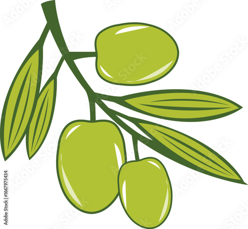 green olives with leaves vector illustration 