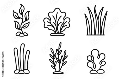 Underwater plant icons outline set of underwater sea plants including kelp, sea lettuce, eelgrass, green algae, red algae, blue-green algae vector illustrations transparent background