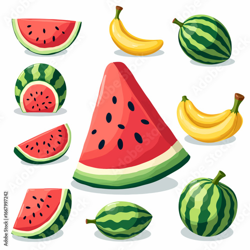 Vector illustration of set watermelon
