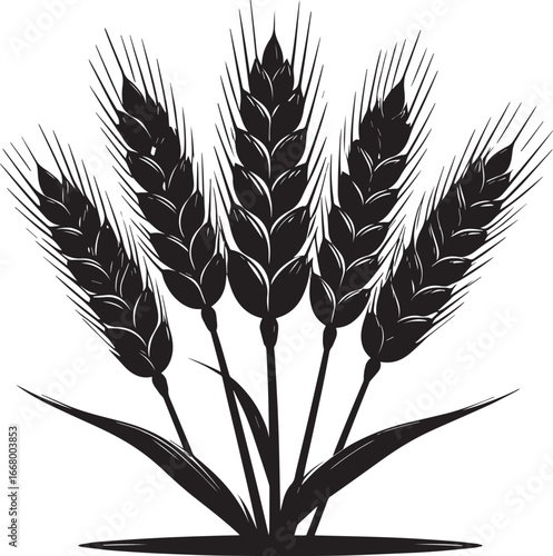 Black Silhouette of Wheat Bunches, Farming Vector Artwork