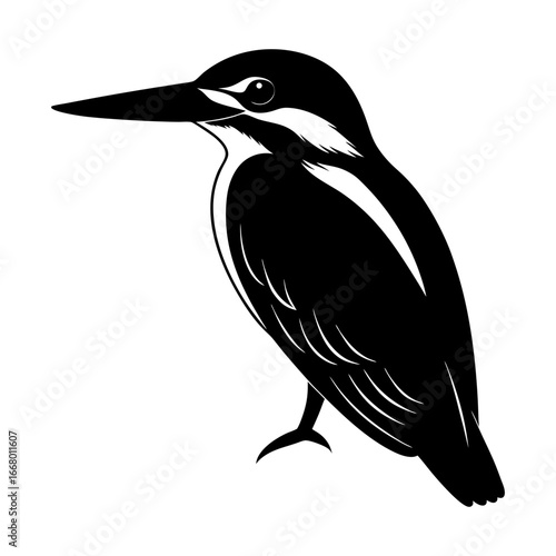 Illustration of a black and white kingfisher bird with a long beak side