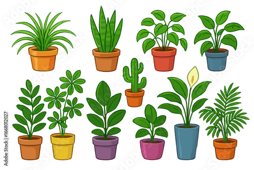 Set of various indoor plants in colorful pots. Houseplants collection with diverse species like snake plant, cactus, and peace lily. Vector cartoon botanical illustration.