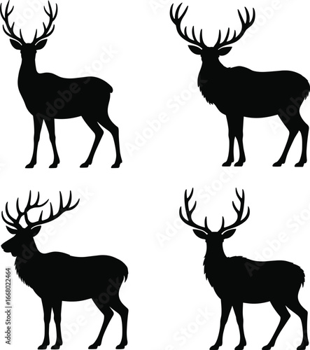 Majestic stags with impressive antlers standing gracefully deer silhouette