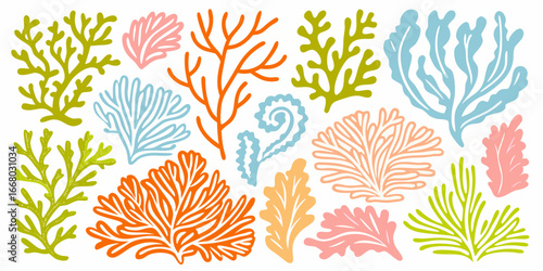 Collection of Colorful Hand Drawn Seaweed and Coral