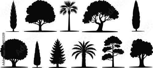 Tree silhouettes collection, palm trees, conifer pine, broadleaf forest icons, seasonal nature elements, landscape design, ecology concept, abstract plant vector illustration