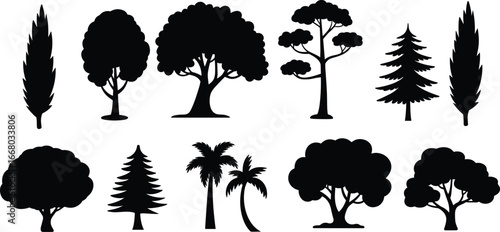 Tree silhouettes set, forest vector collection, tropical palm icons, evergreen pine design, deciduous tree illustration, eco nature art, botanical elements