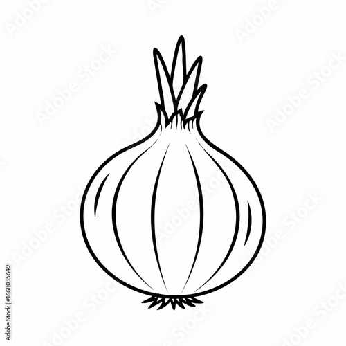 Stylized Black and White Onion Illustration with Distinct Root and Stem Details