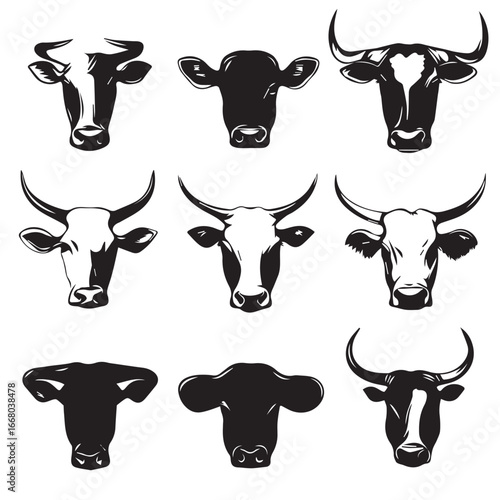 set of cow head