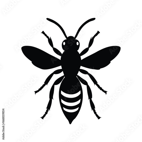 High contrast silhouette of a wasp with detailed wings and legs, A wasp with wings silhouette vector illustration