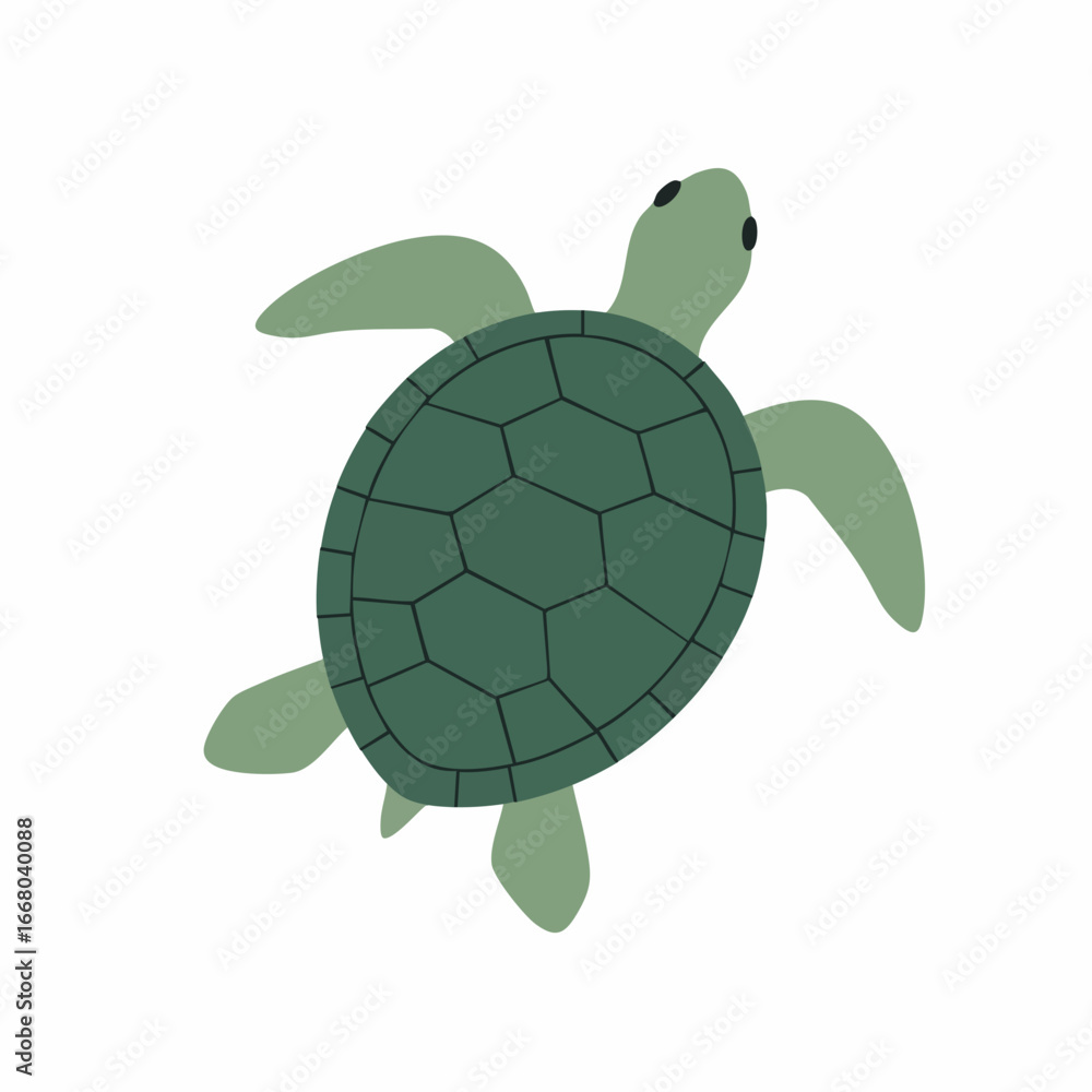 Obraz premium Stylized sea turtle with dark green shell and light green flippers