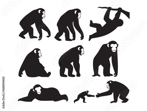 Monkeys Silhouettes in Various Poses on a White Background Vector Graphic Illustration for Creative Projects and Educational Purposes