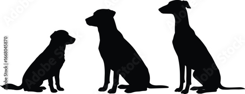 Silhouette of three dogs sitting, black dog shapes, canine vector illustration, pet animals, loyal companions, domestic dogs, dog posture graphic.