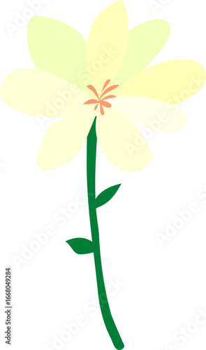 flower isolated on yellow