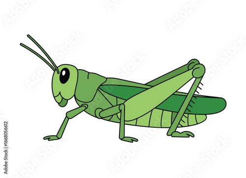 Green grasshopper cartoon illustration insect
