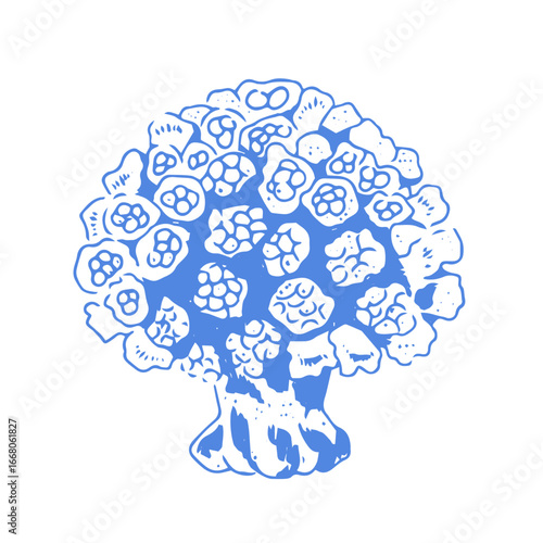 A hand-drawn illustration of a coral in blue. The intricate, branching shape is ideal for educational infographics, environmental posters, or designs highlighting marine habitats.

