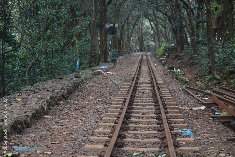 Obraz premium Railway Track in Forest Matheran Toy Train Route Part of the famous Matheran Toy Train (Neral–Matheran line), a UNESCO heritage railway.