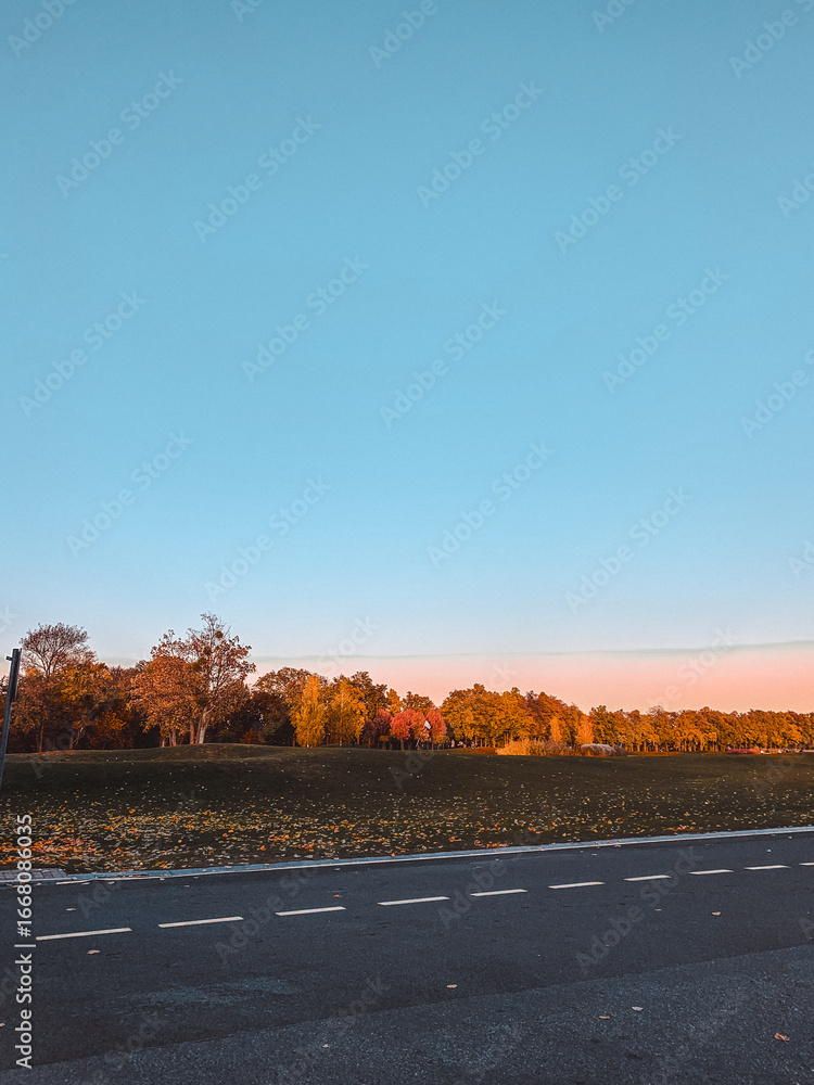 Fototapeta premium Empty countryside road stretching into the distance with autumn trees under a clear blue sky.