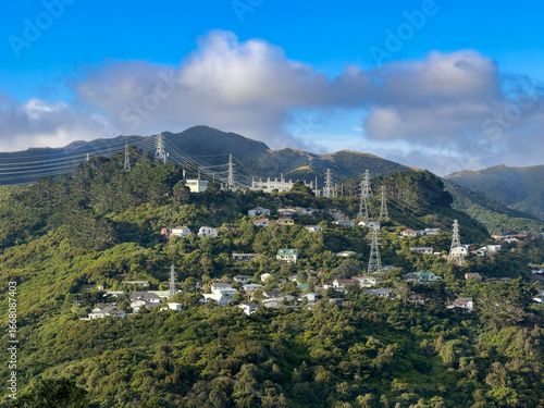 Wellington, New Zealand. Wilton Substation and houses at Crofton Downs. This electricity substation supplies all of
Wellington City either directly or via downstream substations.