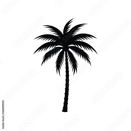 palm tree silhouette
