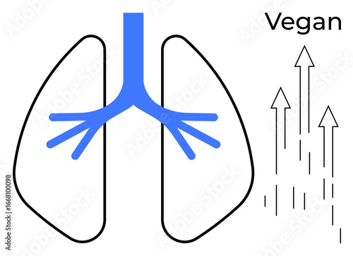 Blue bronchial structure inside lungs, arrows pointing upward for wellness, labeled Vegan. Ideal for health, plant-based lifestyle, nutrition, clean living, wellness, breath care simple flat