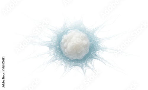 Neutrophil extracellular trap (NET) with web-like DNA structure
