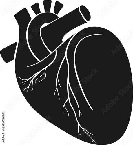 Anatomical heart icon set.Human anatomy internal organ set with brain lung intestine heart kidney liver and stomatch.Healthy Cardiovascular Organ Symbol Collection on White Background and red.