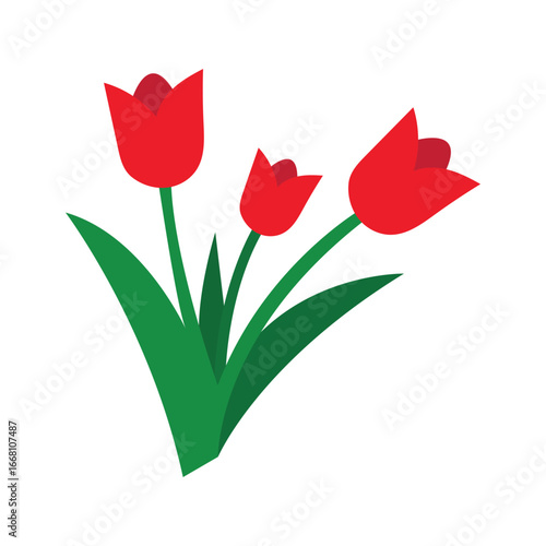 Red tulips with green leaves bloom against a simple white background