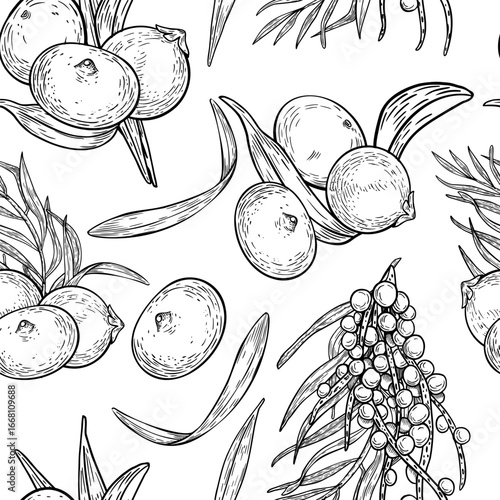 Hand drawn vector repeat of tropical acai berries and palm fronds black white pattern isolated. Superfood plants outline repeated background for organic food packaging, botanical monochrome prints.