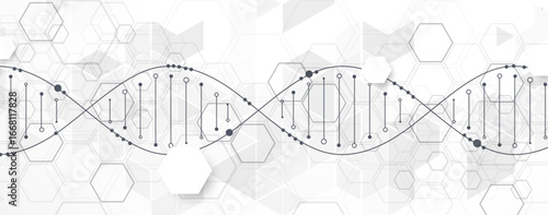 Abstract hexagon futuristic background for design works.
Science template, wallpaper or banner with a DNA molecules.