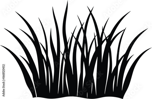 sea grass silhouette vector illustration