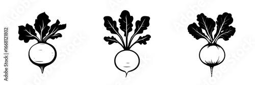 Three black and white illustrations of radishes with leafy tops showcasing different angles and styles