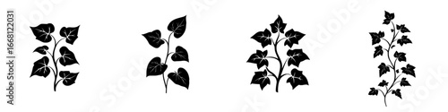 Collection of black and white ivy plant silhouettes on a white background showcasing diverse leaf shapes and arrangements