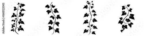 Decorative black silhouette of climbing ivy plants arranged in a pattern ideal for design and illustration usage