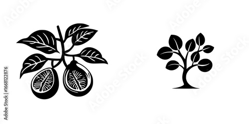 Graphic representation of fig tree and branches featuring ripe fruits with leaves in a minimalist design