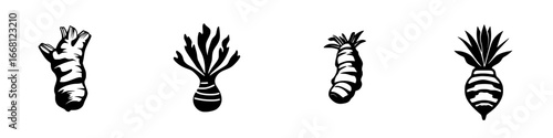 Ginger, turmeric, and other roots displayed in a black and white artistic style on a clean background